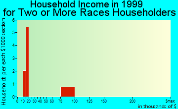 Abingdon household income for two or more races householders