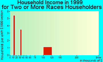 Bon Air household income for two or more races householders