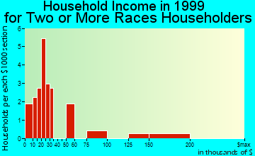 Fredericksburg household income for two or more races householders