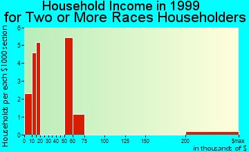 Hollins household income for two or more races householders