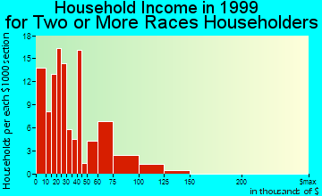 Bellingham household income for two or more races householders