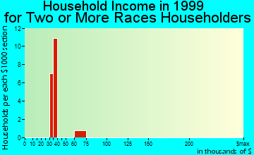 Duvall household income for two or more races householders