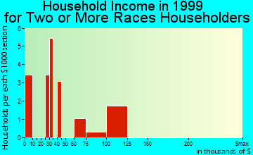 Ferndale household income for two or more races householders