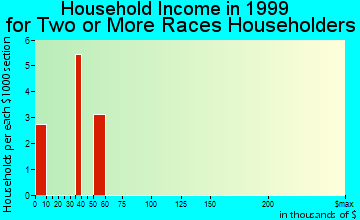 Follansbee household income for two or more races householders