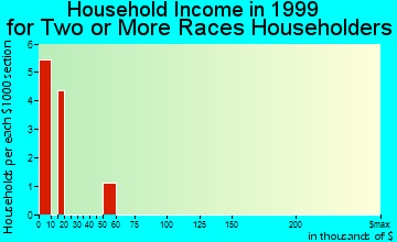 Spencer household income for two or more races householders