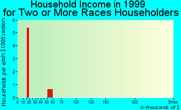 Baldwin household income for two or more races householders