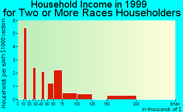 Winters household income for two or more races householders