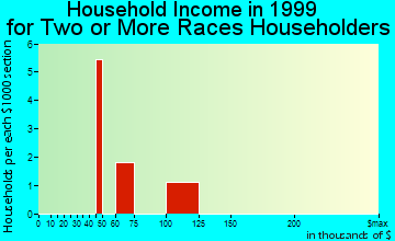 Byers household income for two or more races householders