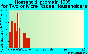 Durango household income for two or more races householders