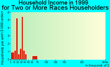 Edgewater household income for two or more races householders