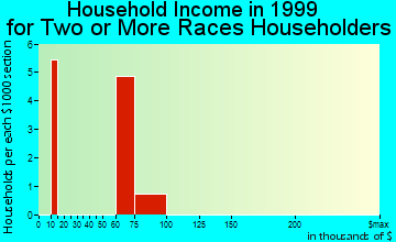 Idaho Springs household income for two or more races householders