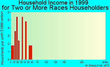 Salida household income for two or more races householders