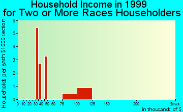 Vail household income for two or more races householders