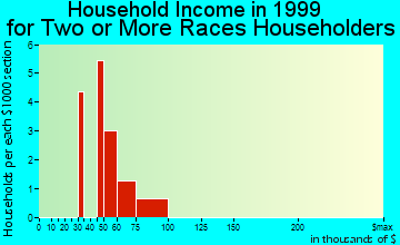 Windsor household income for two or more races householders