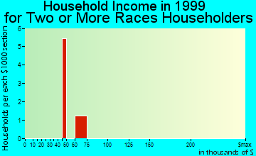 Ocean View household income for two or more races householders
