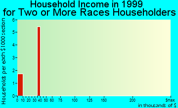 Archer household income for two or more races householders