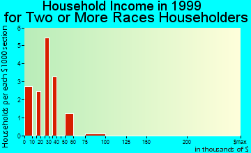 Bayonet Point household income for two or more races householders
