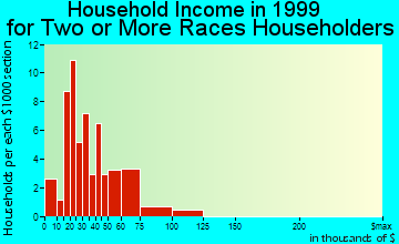 Boynton Beach household income for two or more races householders