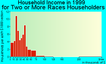 Bradenton household income for two or more races householders