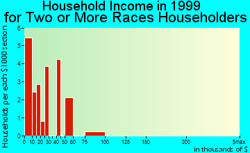 Florida City household income for two or more races householders