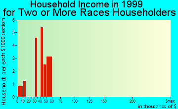 Forest City household income for two or more races householders
