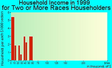 Phenix City household income for two or more races householders