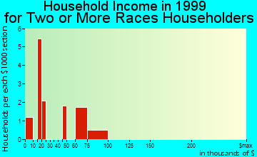 Prattville household income for two or more races householders