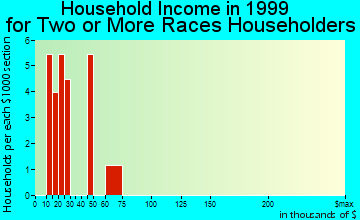 New Port Richey East household income for two or more races householders
