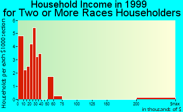 North Fort Myers household income for two or more races householders