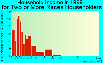 Palm Bay household income for two or more races householders