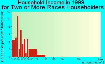 Port Charlotte household income for two or more races householders