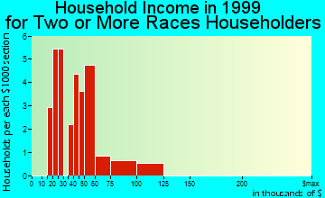Port St. John household income for two or more races householders
