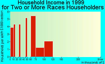 Punta Gorda household income for two or more races householders
