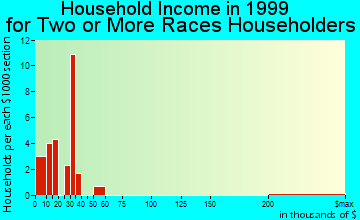 Sebring household income for two or more races householders