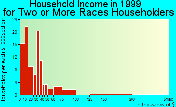 Birmingham household income for two or more races householders