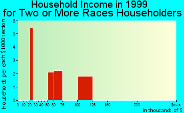 Williamsburg household income for two or more races householders
