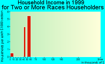 Auburn household income for two or more races householders