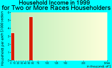 Cochran household income for two or more races householders