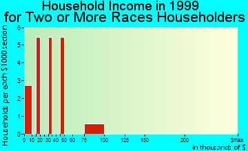 Cusseta household income for two or more races householders