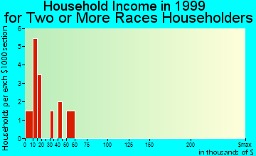 Dublin household income for two or more races householders