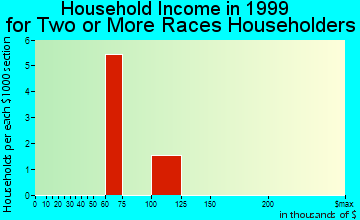 Garden City household income for two or more races householders