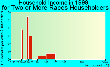 Morrow household income for two or more races householders