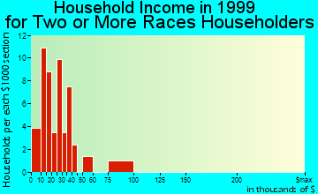 Mountain View household income for two or more races householders