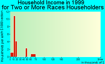 Burley household income for two or more races householders