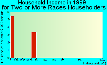 Hailey household income for two or more races householders