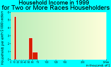Inkom household income for two or more races householders