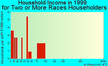 Ketchum household income for two or more races householders