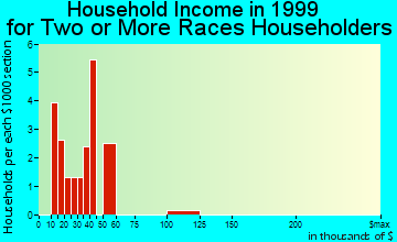 Mountain Home household income for two or more races householders
