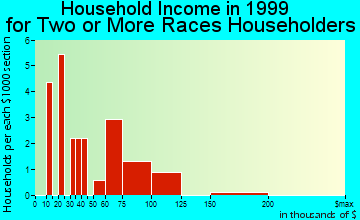 Craig household income for two or more races householders