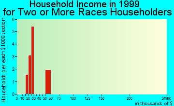 Brundidge household income for two or more races householders